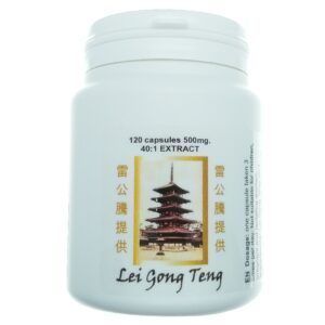 Lei Gong Teng